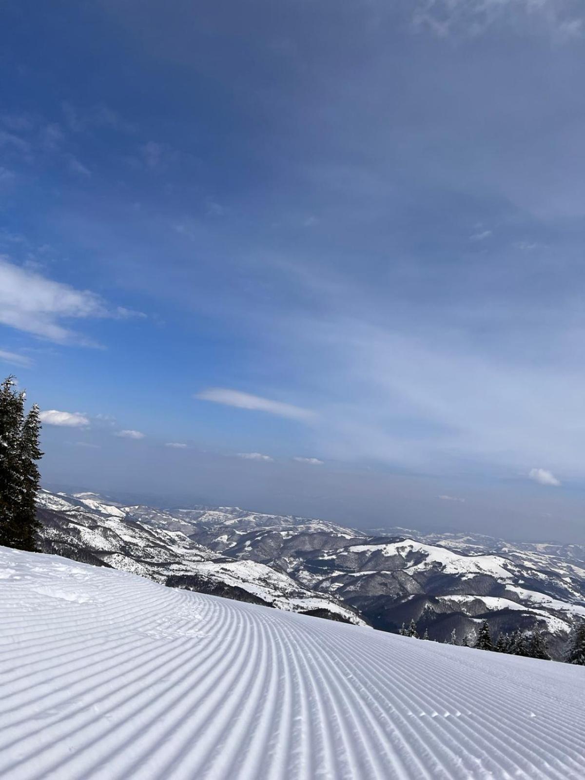 Woodside Apartment M Kopaonik Free Parking Екстер'єр фото